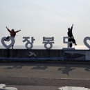 꼬북이와 두루미