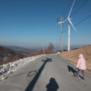 손양주유소 이미지