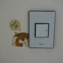 니니브 | 유비나의 뷰티초이스 이벤트 발표 + 오늘의 일상