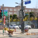 영인칼라 이미지