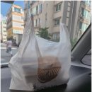 언니와꼬마김밥 이미지