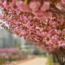 들성생태공원 이미지