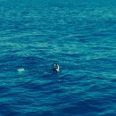 예스(Yes)당구장 | 화란춘성(花蘭春城)하고 만화방창(萬花方暢)하다.