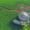 화양연화농장 이미지