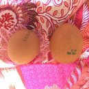 심다누팜 이미지