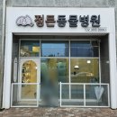 정든동물병원 | 은평구 강아지 자궁축농증 수술 래브라도리트리버 수술 비용 및 후기&#34;정든동물병원&#34;