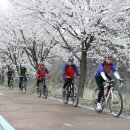 오천자전거길 이미지