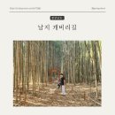 낙동강 남지개비리길(용산) | 창원 근교 가볼만한곳 창녕 남지 산책하기 좋은 개비리길 대나무숲