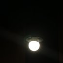 골목치킨 - 보령시 | 골목치킨