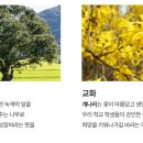 공주교육대학교부설초등학교 이미지