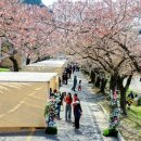 성류굴 관광지 이미지