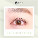 속눈썹 펌 주기? 이것만 알면 예쁜 속눈썹 유지 어렵지 않아요!장현지구 속눈썹 펌 블루나비