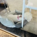 르어비헤어 스튜디오