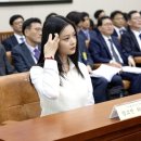 하니부인 이미지