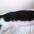 하남미가 이미지