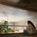 모두두모 | (제주숙소) 제주집 두모공 후기