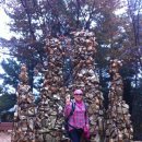 국화황토공원 이미지