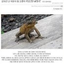 가수 방미의 김부선 비난이 공감받지 못하는 이유 (어소뷰둘암) 이미지