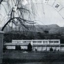 임동초교 이미지