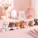 도담캣 | 양모펠트 만들기🐶 자기계발 원데이클래스 후기💗