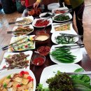 (주)돌나라 한농제약