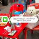 자이 포장마차 이미지