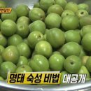 회 달인 이미지