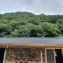 대송농장 이미지