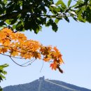 스타트하우스 이미지