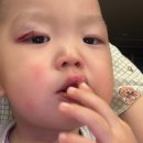 강남수병원 이미지