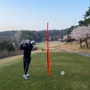 용인 써닝포인트CC - 야간 벚꽃 라운딩 후기