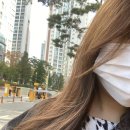 시장미용실 네이버블로그
