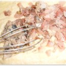 고등어아가씨 이미지