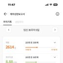 맘마청라