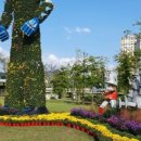 유림-1013 이미지