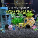 생명나무도서관 | 대전 아이랑 주말나들이 | 아쿠아리움·보문산쭈꾸미·큰나무전망대 당일코스🚗