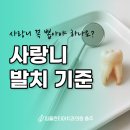 충주하나치과의원 이미지