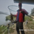 청도천3 이미지