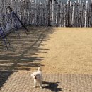 마당넓은민박 이미지