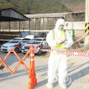 김영만농장 이미지