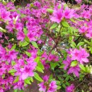 조은정원농장 이미지