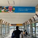 2023-0003 | 삿포로 여행 코스 추천 | 에스콘필드 니혼햄 파이터즈 경기 직관 후기