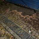 유플러스치과의원 | 11월에는~