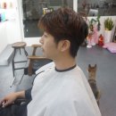 선희헤어샵 - 천안시 동남구 | 선희헤어샵