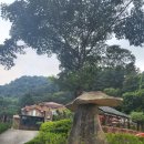 머쉬룸 펜션 이미지