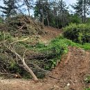 오룡산 등산로 입구 이미지