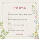 사계절내