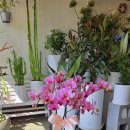 ABL 부산타워 이미지