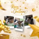 짱구와 동팔이 이미지