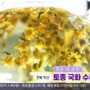 오상농장 이미지